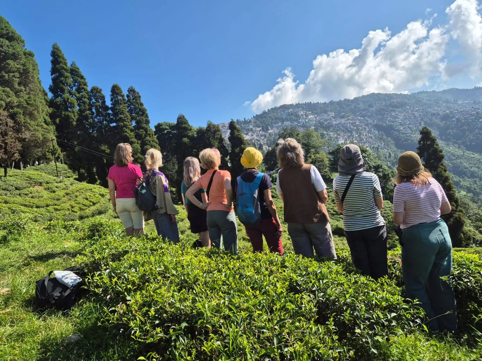 WYPRAWA DO — DARJEELING I SIKKIMU